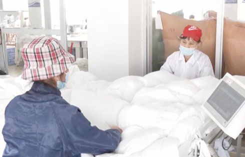 從鴨鵝養(yǎng)殖到羽絨制品出口 廣東湛江產(chǎn)業(yè)發(fā)展多點開花