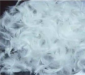 布聯講堂 如何辨別羽絨制品的好壞