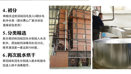 【羽絨羽毛水洗白鴨毛片 枕頭床墊填充原材料 2~4cm鴨毛片工廠批發】價格,廠家,圖片,羽毛、羽絨,安徽方翔羽絨制品-